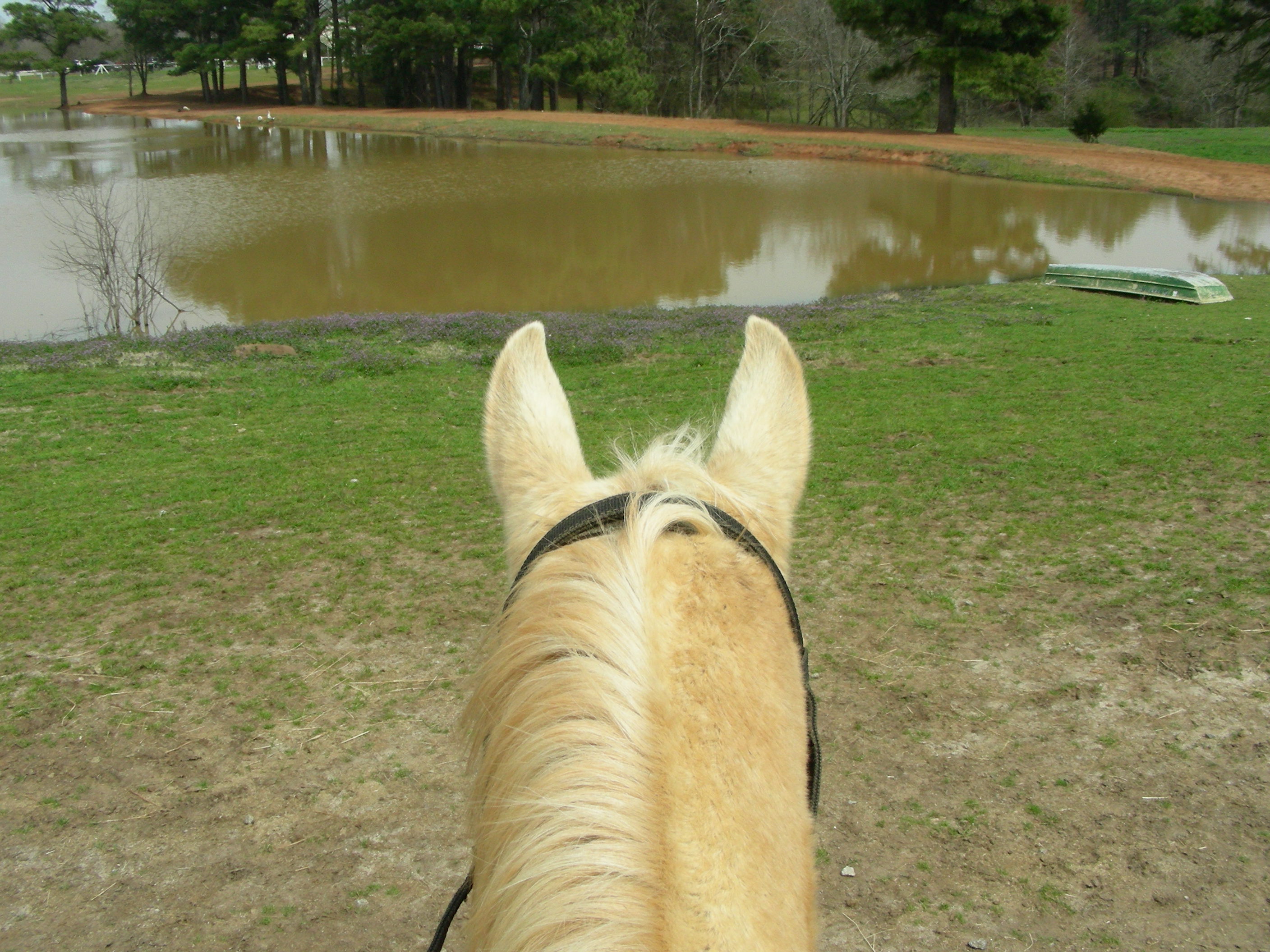 ./2014/Southern Cross/DSCN8954.JPG